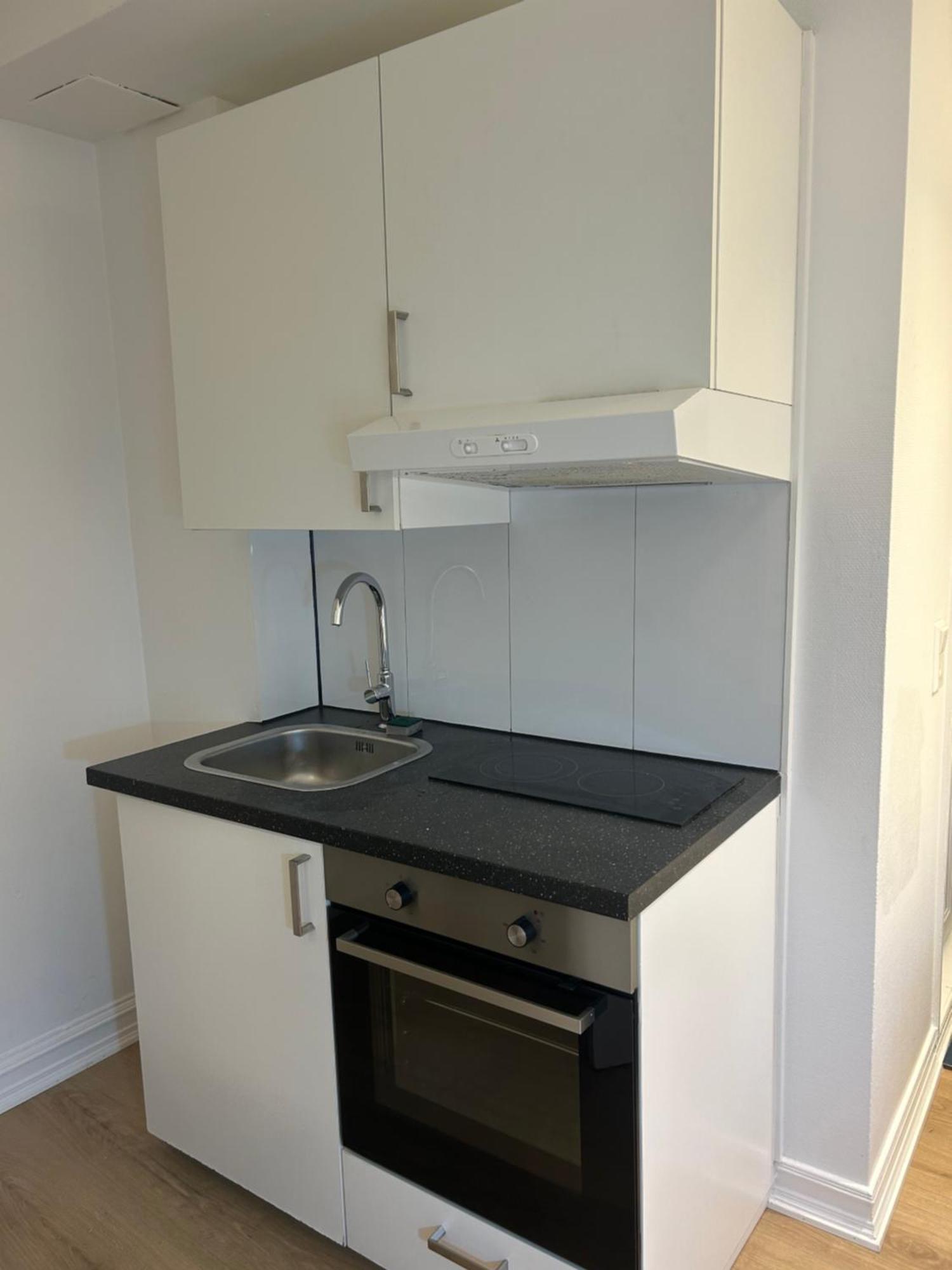 Cozy Studio Apartment Oslo